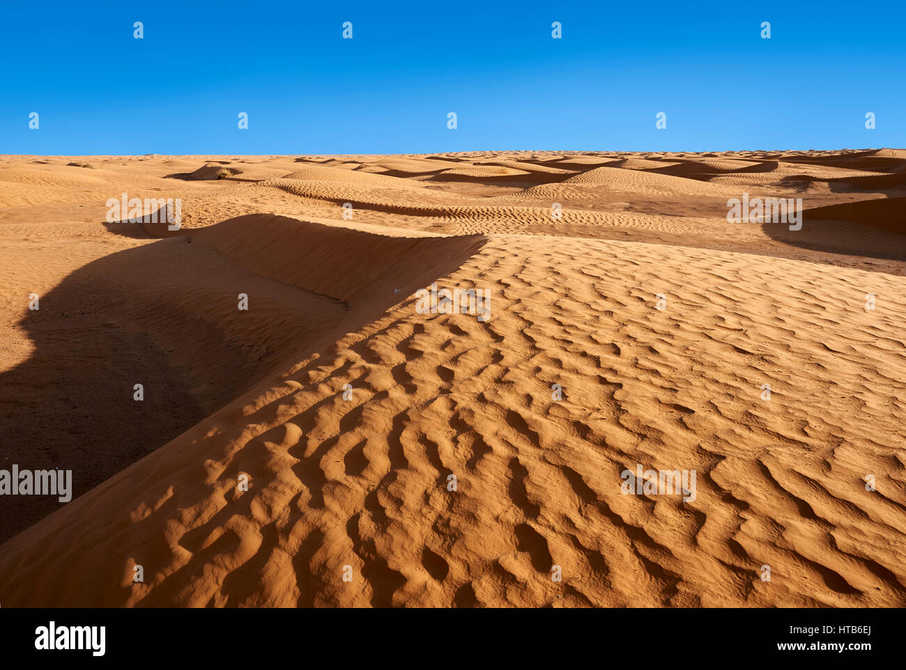 Die Sahara Wüste Sanddünen des Erg Oriental in der Nähe der Oasis von Ksar Ghilane, Tunesien, Afrika Stockfoto