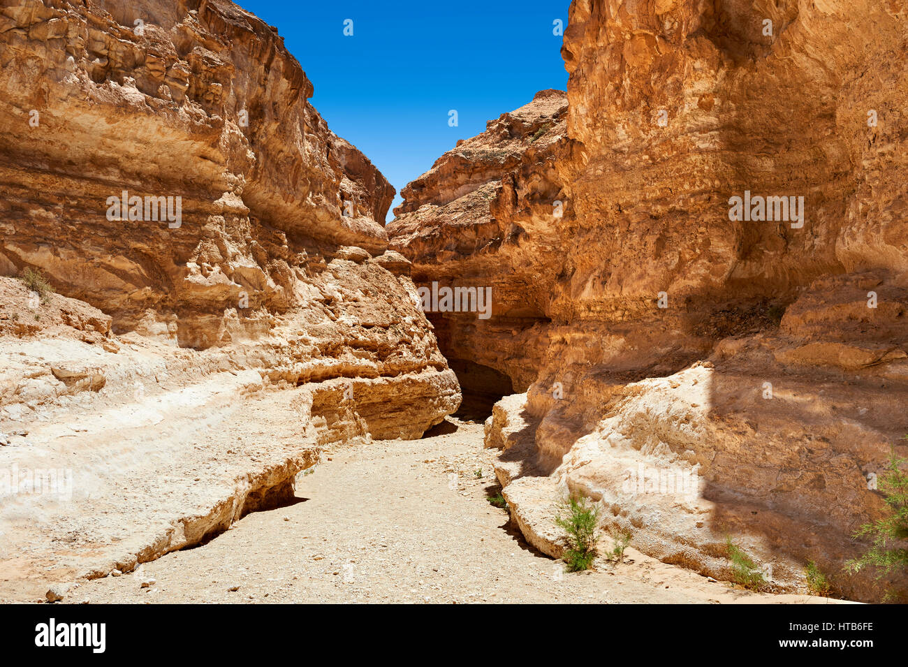 Die Wüste Schlucht in der Nähe der Sahara-Oase Mides, Tunesien, Nordafrika Stockfoto