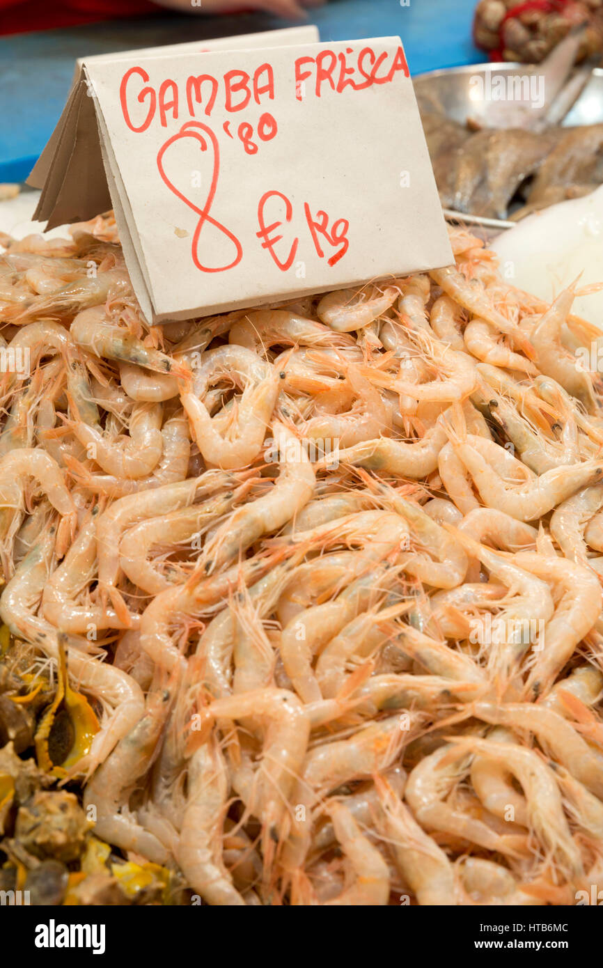 Frische Garnelen zu verkaufen in Fisch Markt, Mercado Central de Abastos, Jerez De La Frontera, Provinz Cadiz, Andalusien, Spanien, Europa Stockfoto