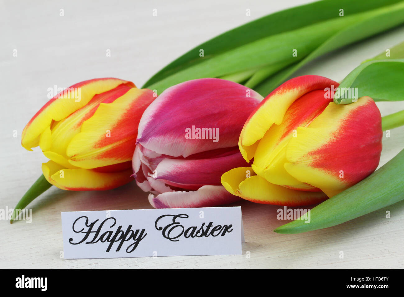 Glücklich Osterkarte mit drei bunte Tulpen Stockfoto