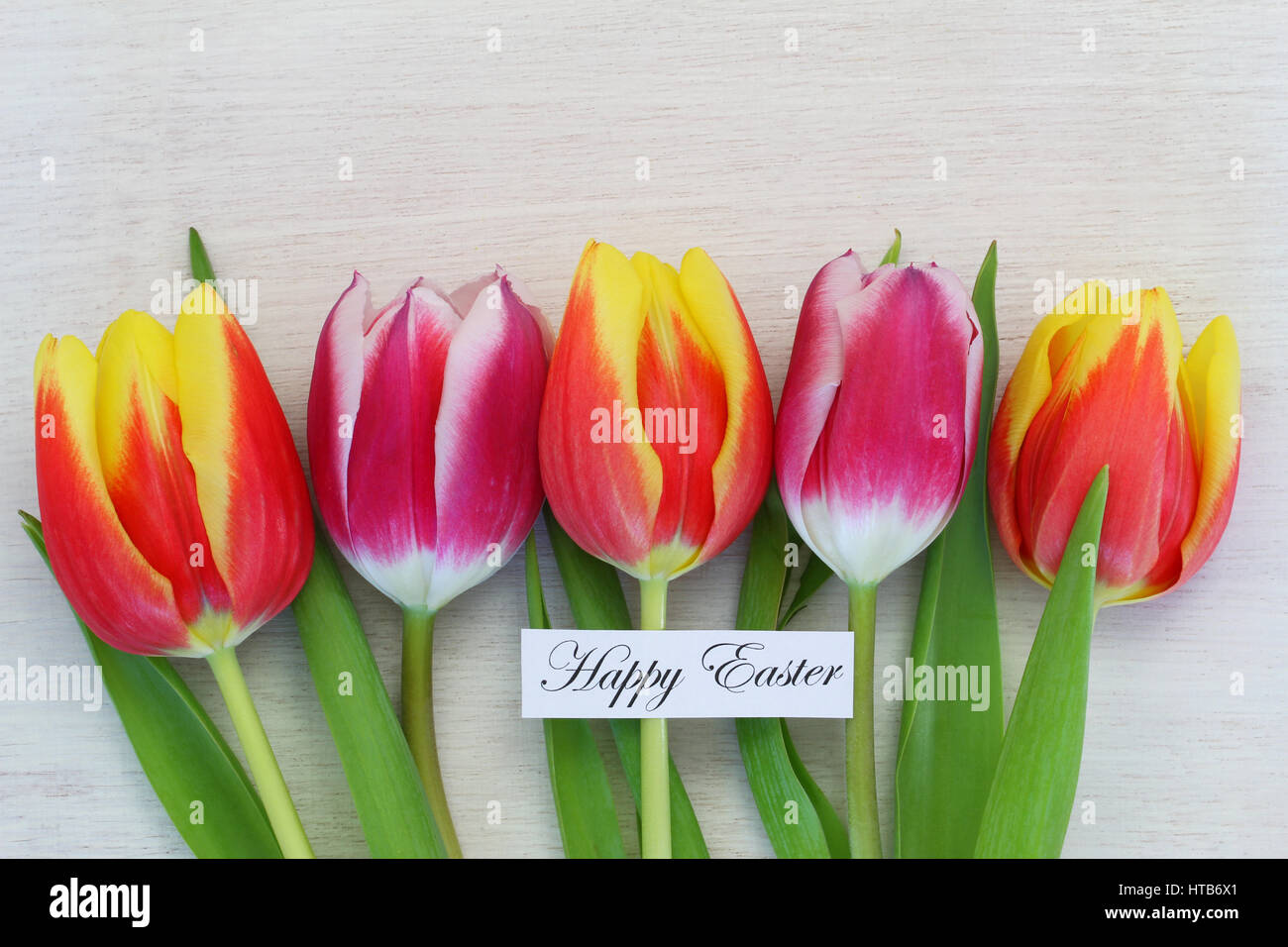 Glücklich Osterkarte mit bunten Tulpen auf weißen Holzoberfläche Stockfoto