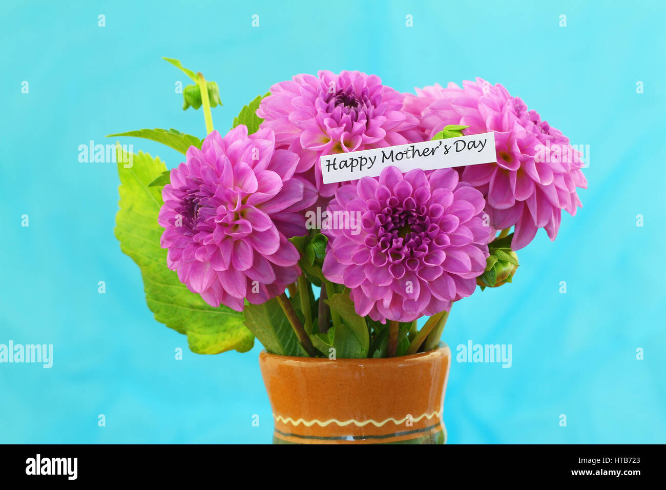 Glückliche Mutter Tageskarte mit rosa Dahlie Blumen in Ton Vase auf blauem Hintergrund Stockfoto