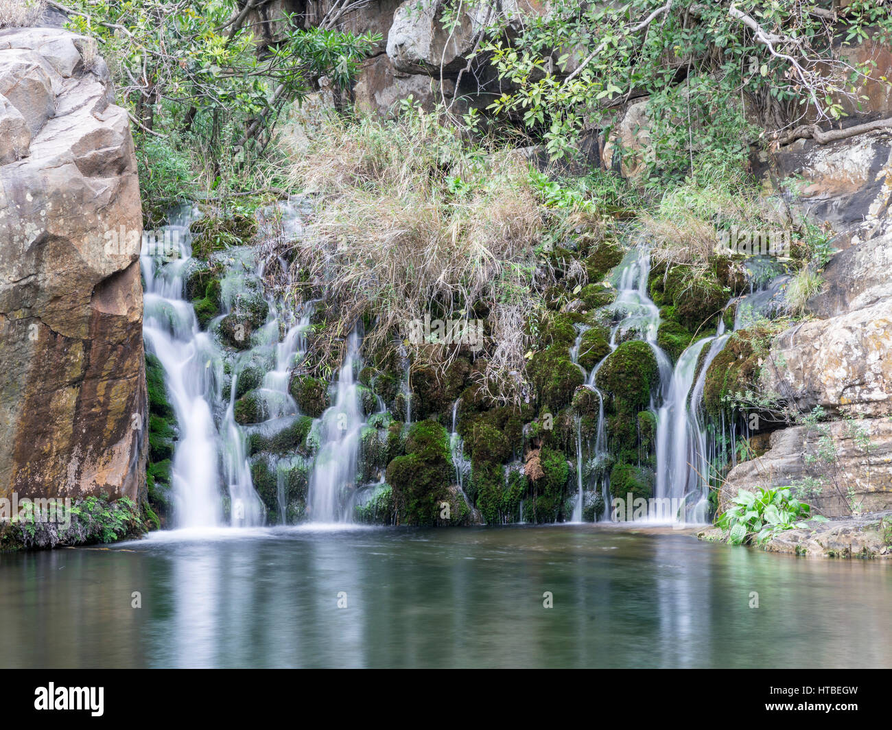 Kleiner Wasserfall bei Lourie Trail, Blyde River Canyon, Graskop, Mpumalanga, Südafrika Stockfoto