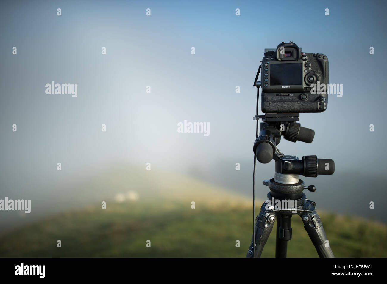 Ein nebliger Morgen auf Corton Denham Beacon, Somerset, England, UK Stockfoto