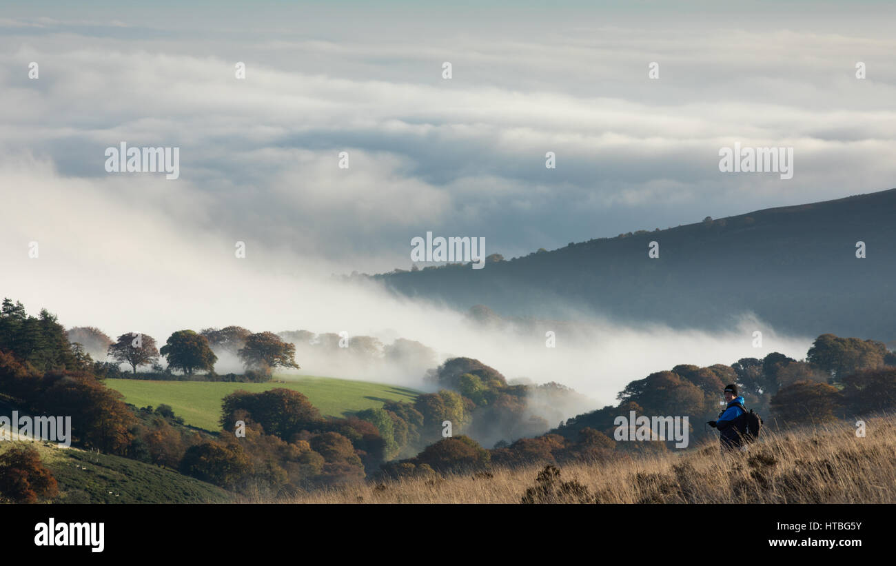 Die Workshop-Gruppe schießen Nebel in Bagley Combe in der Morgendämmerung, Stoke Pero gemeinsame, Exmoor National Park, Somerset, England, UK Stockfoto