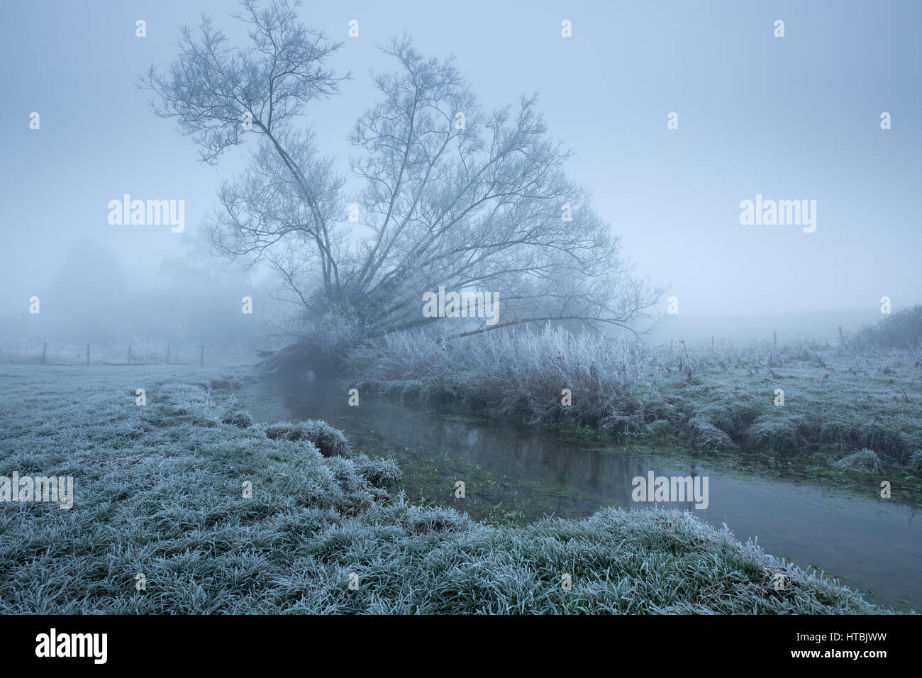 Ein nebliger, frostigen Morgen an den Ufern des Gascoigne, Kingsbury, Milborne Port, Somerset, England, UK Stockfoto