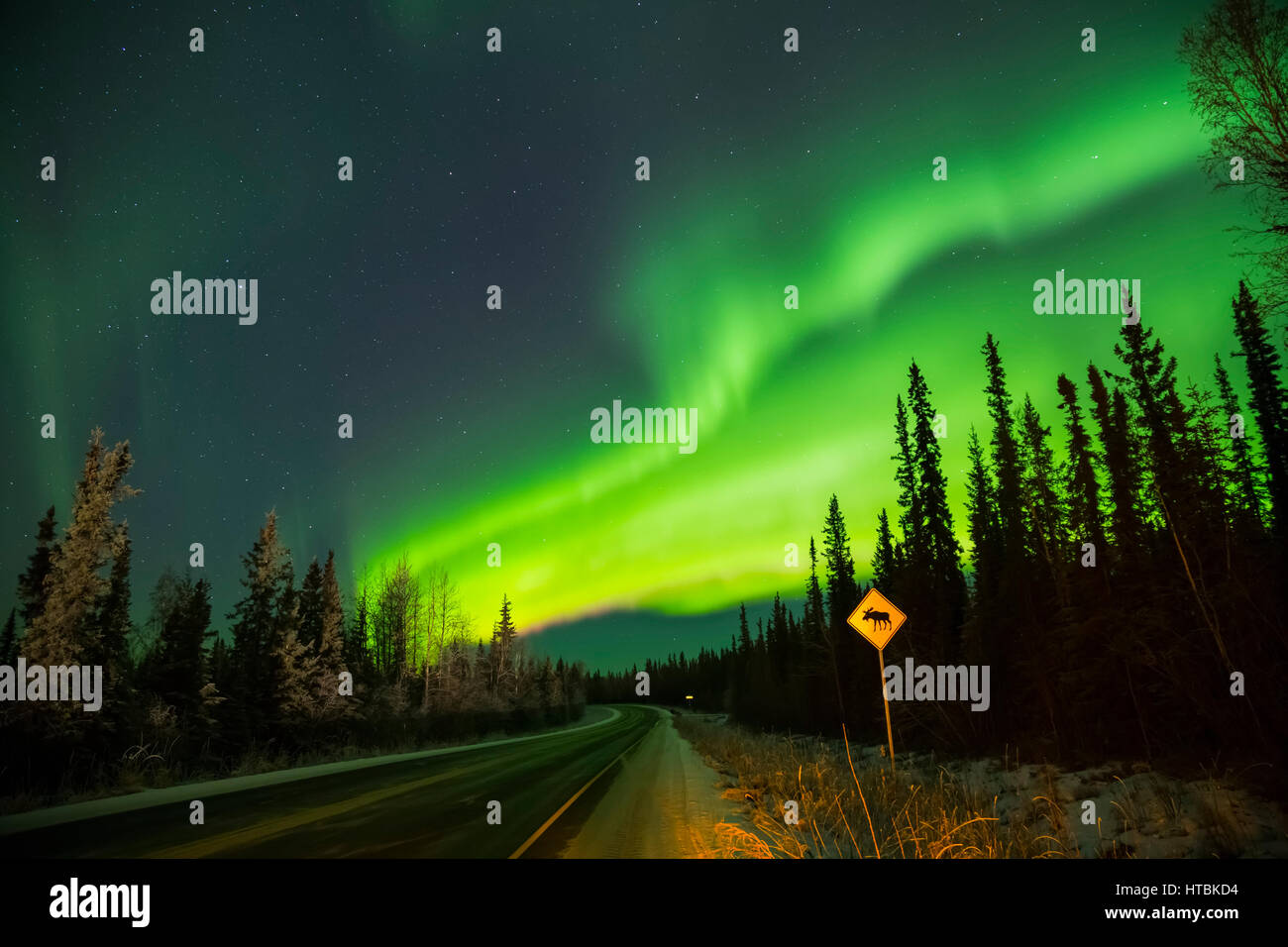 Die Aurora glüht über Moose Crossing Zeichen entlang Sheep Creek Road; Fairbanks, Alaska, Vereinigte Staaten von Amerika Stockfoto