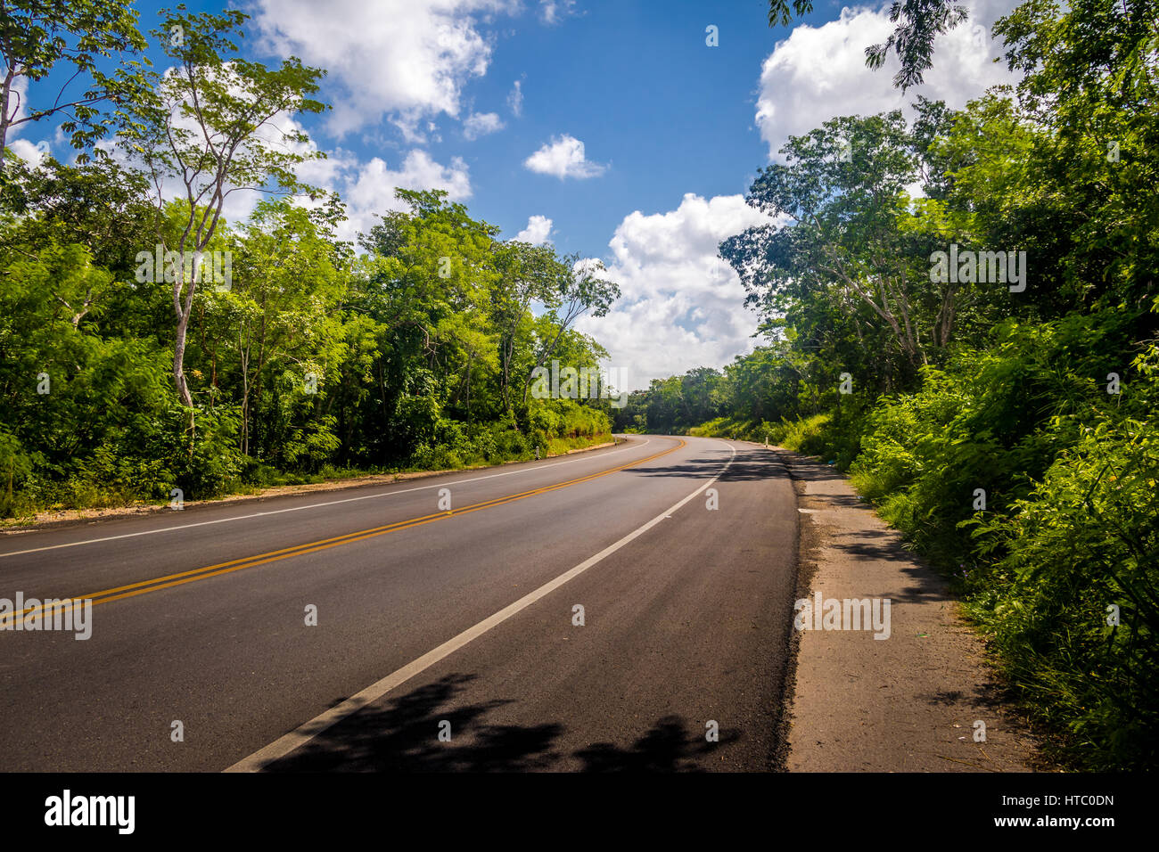 Asphaltierte Straße im grünen Wald - Yucatan, Mexiko Stockfoto