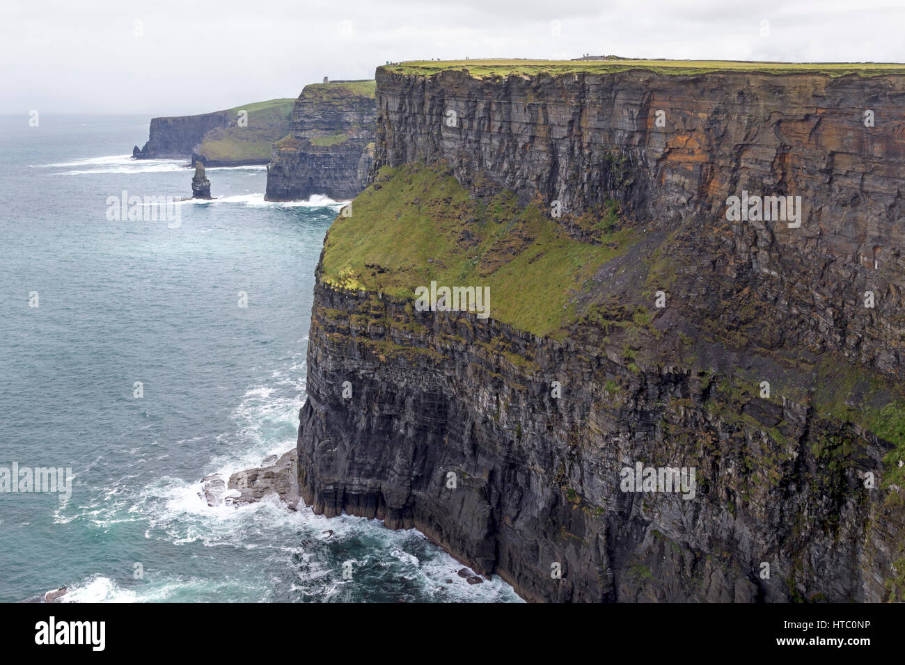 Klippen von Moher, County Clare, Irland, Europa Stockfoto