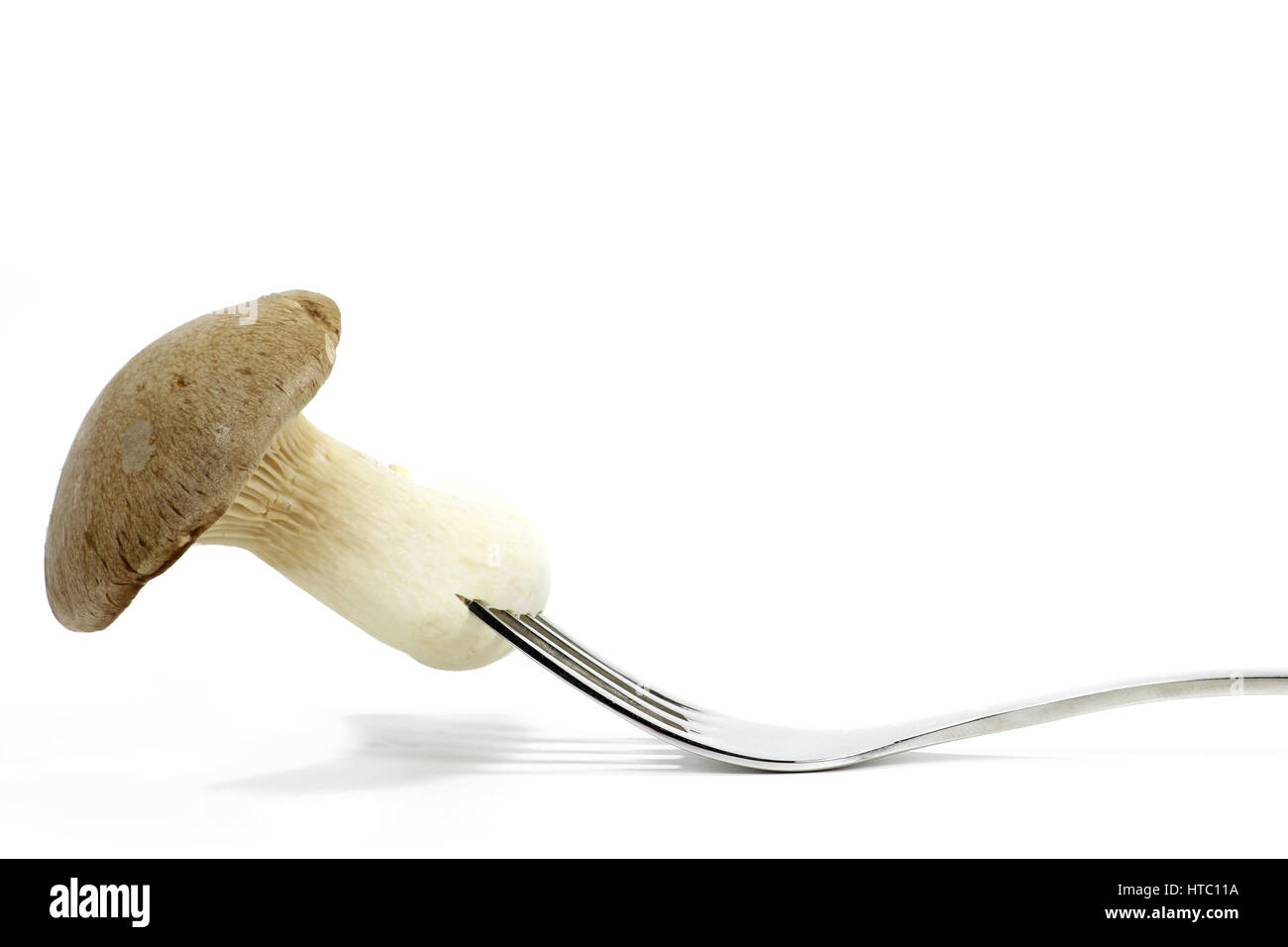 Gabel mit König Austernpilz isoliert auf weißem Hintergrund Stockfoto