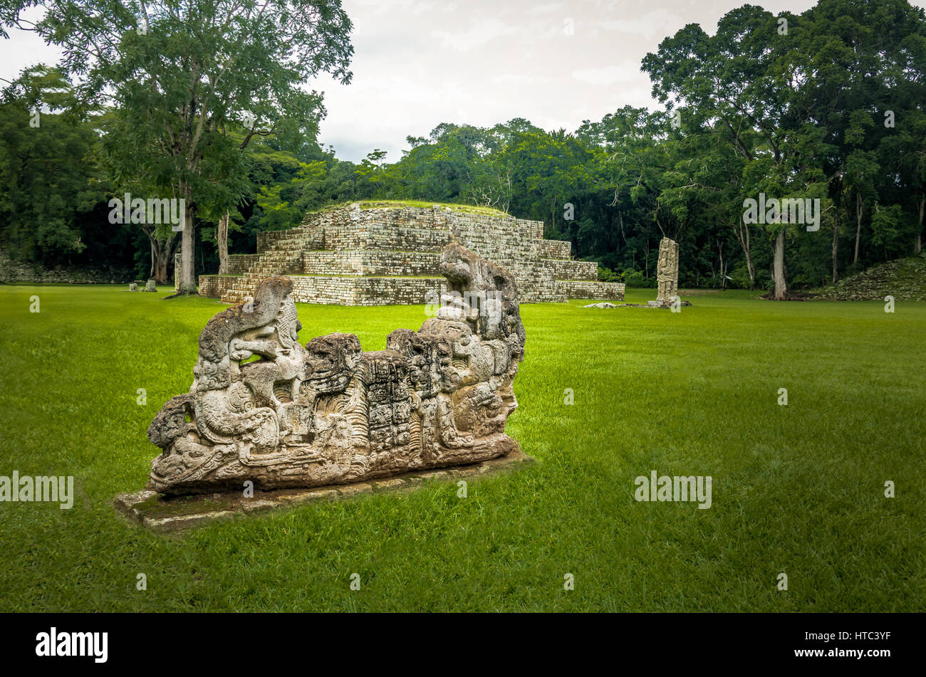 Pyramide und Stella in großen Plaza von Maya-Ruinen - Ausgrabungsstätte Copan, Honduras Stockfoto