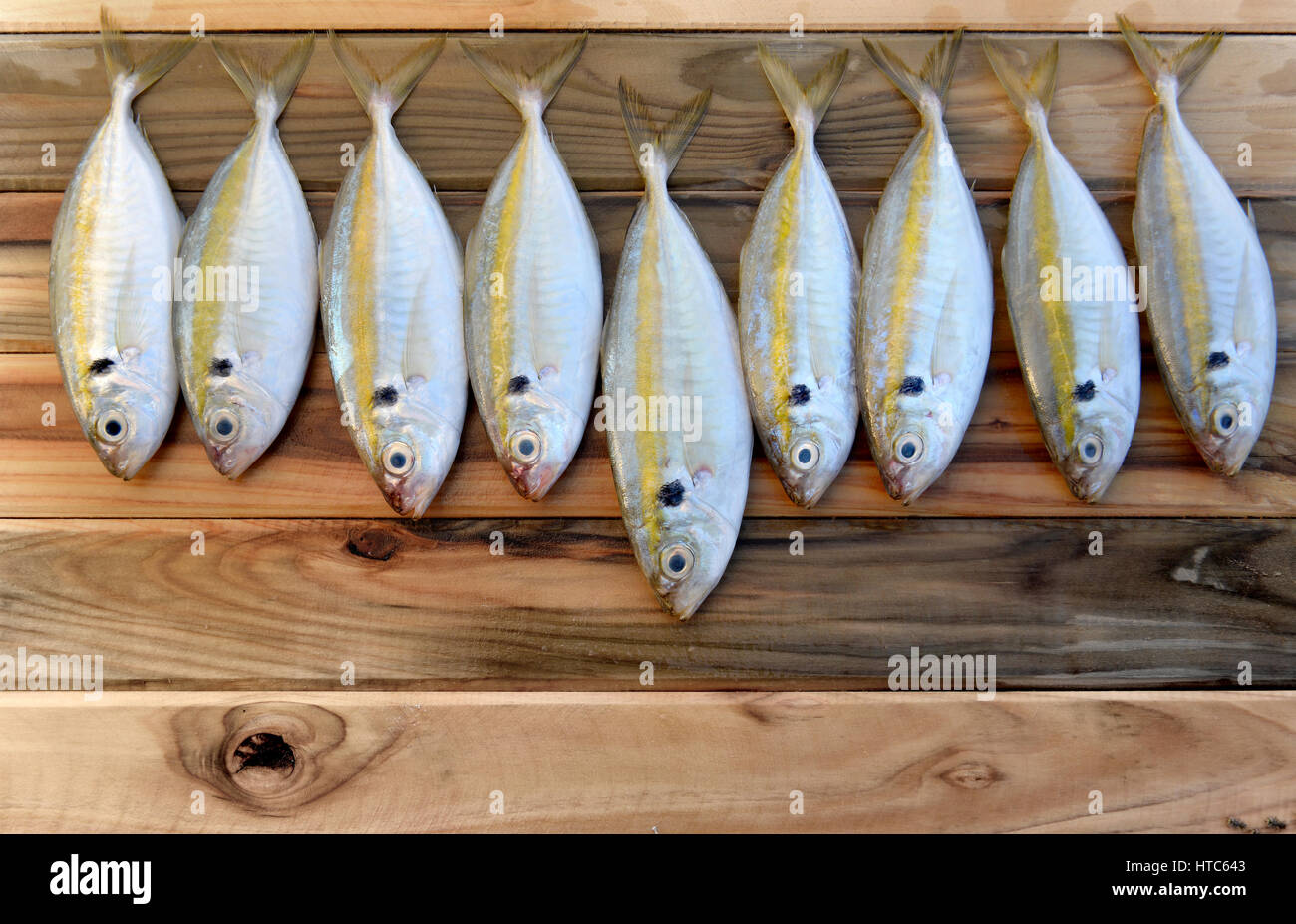 frische gelbe Streifen Trevally Fischen auf Holz im Sonnenlicht Stockfoto