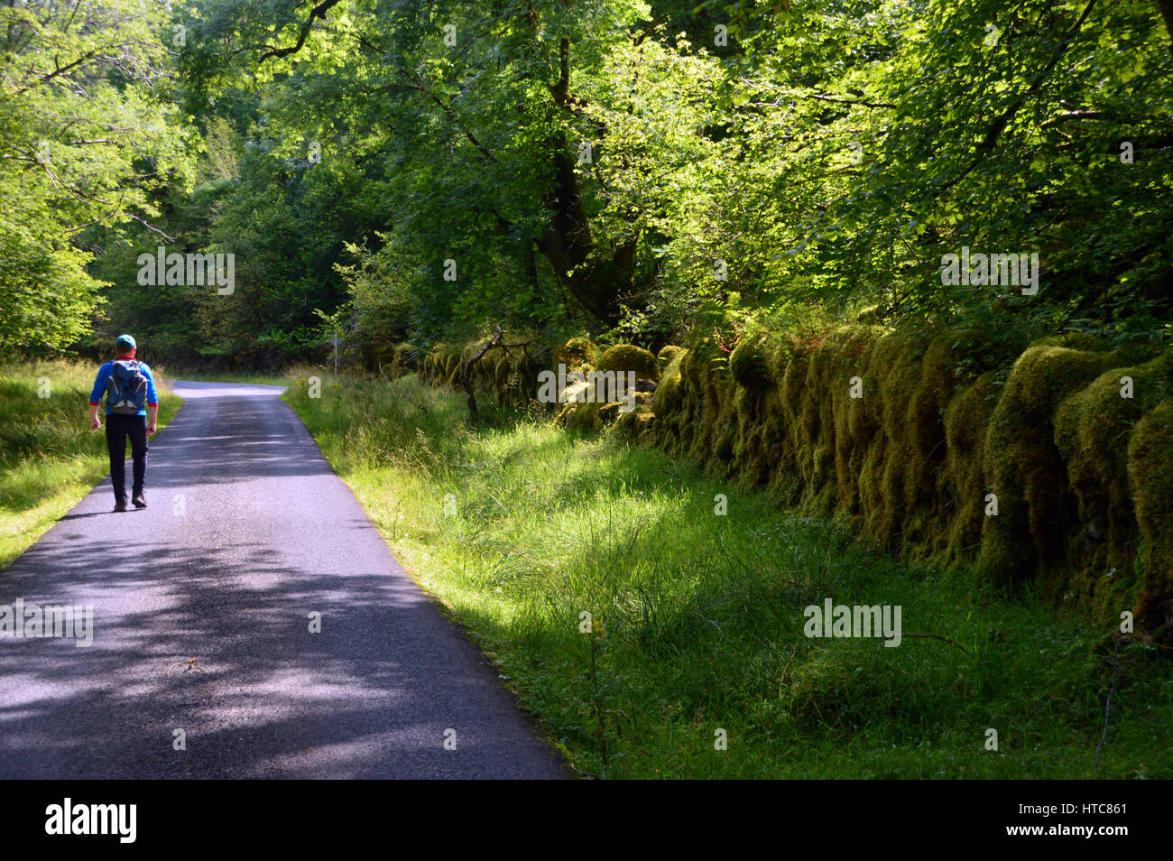 Eine einsame männliche Wandern auf Meile Dorche Straße (die dunklen Meile) zwischen Loch Lochy und Loch Arkaig in den schottischen Highlands. Stockfoto