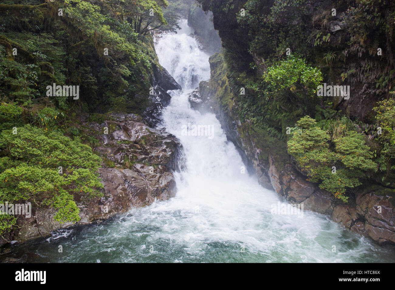 Hollyford Valley, Fiordland-Nationalpark, Southland, Neuseeland. Wasserfall angeschwollen durch Starkregen, Falls Creek. Stockfoto