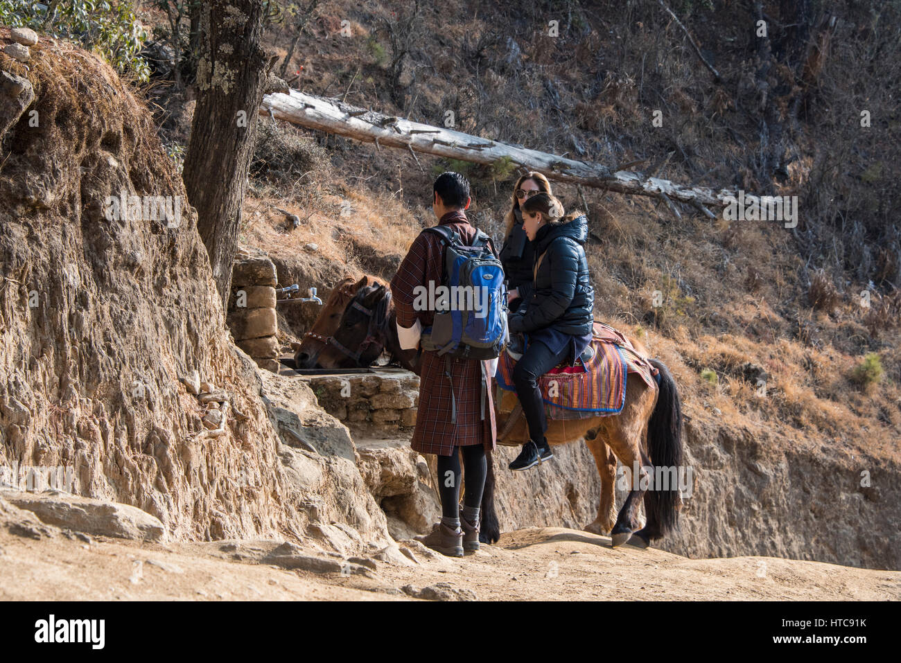 Bhutan, Paro. Tiger's Nest (aka Paro Taktsang oder Taktsang Kloster Palphug), vorstehende Sacred Himalaya buddhistische Tempelanlage. Mietwagen Pferde. Stockfoto