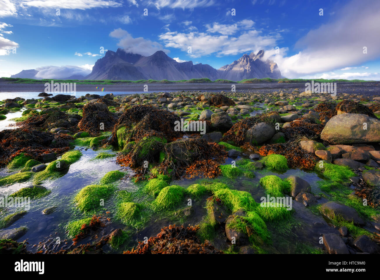 Berühmte Grasberge in der Nähe von Stokknes Berge, Island Stockfoto