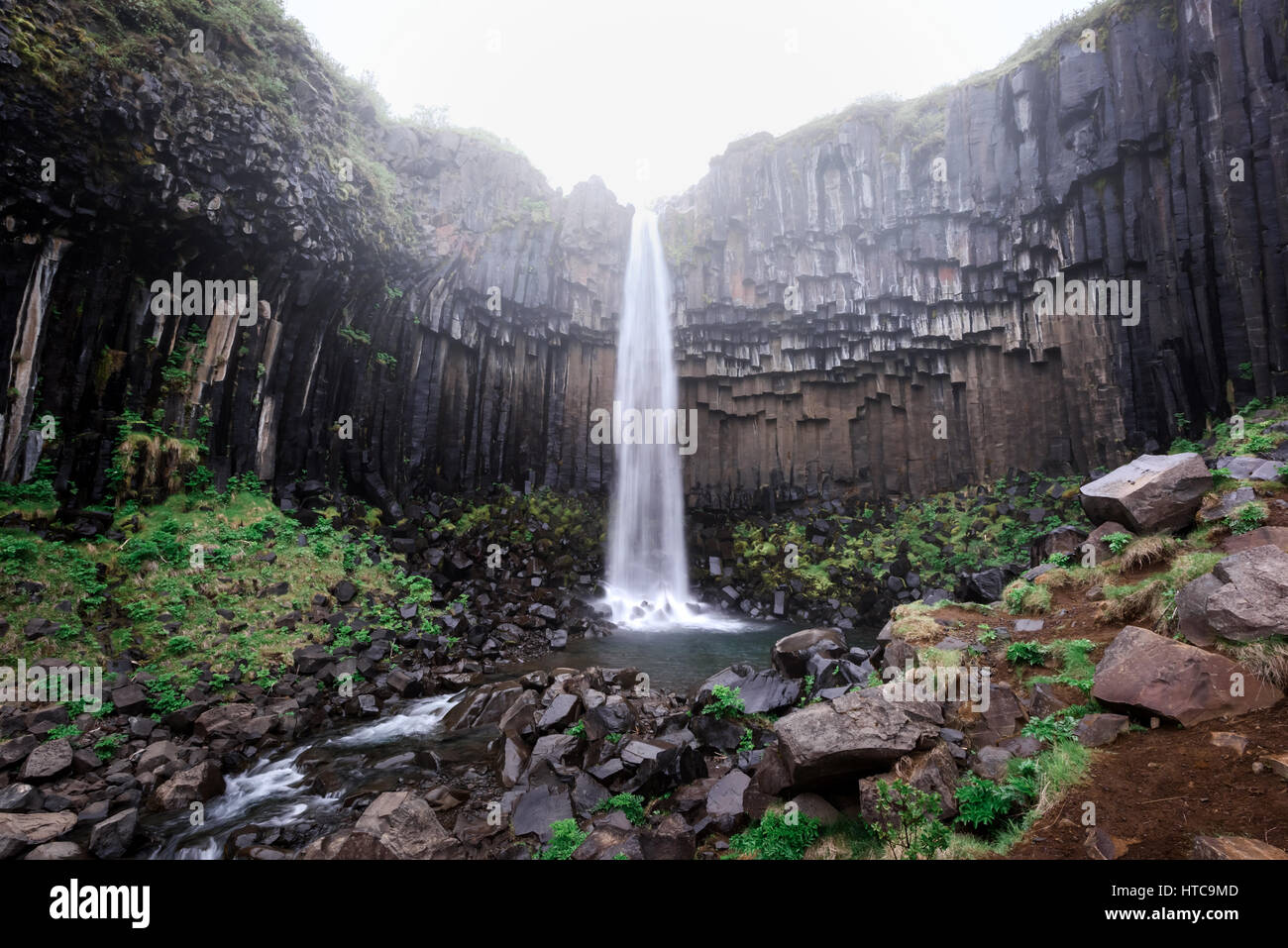 Berühmten Wasserfall Svartifoss. Eine weitere namens schwarz Herbst. Das Hotel liegt in Skaftafell, Vatnajökull-Nationalpark, Island. Stockfoto