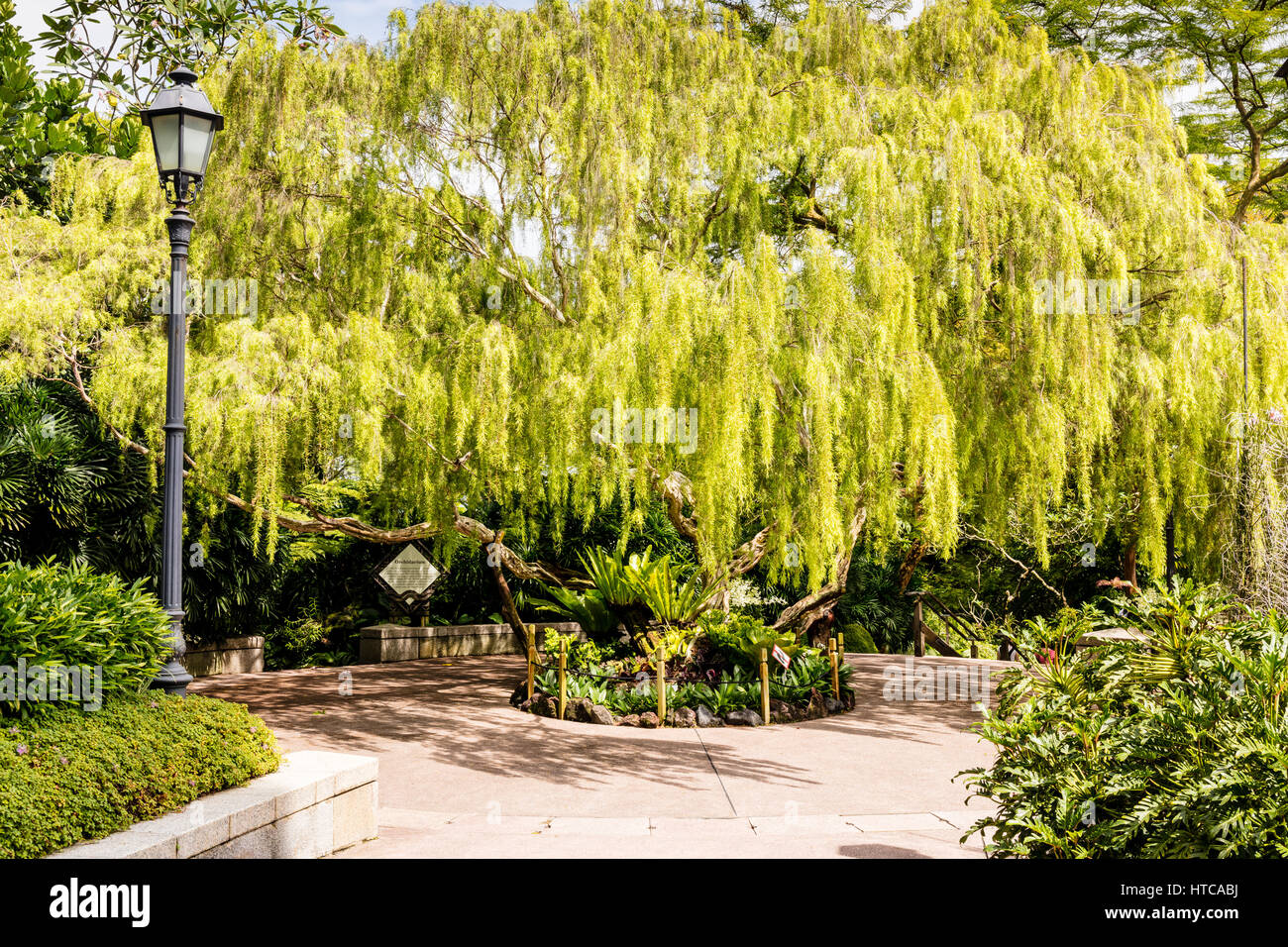 Botanische Gärten, Singapur, Asien Stockfoto