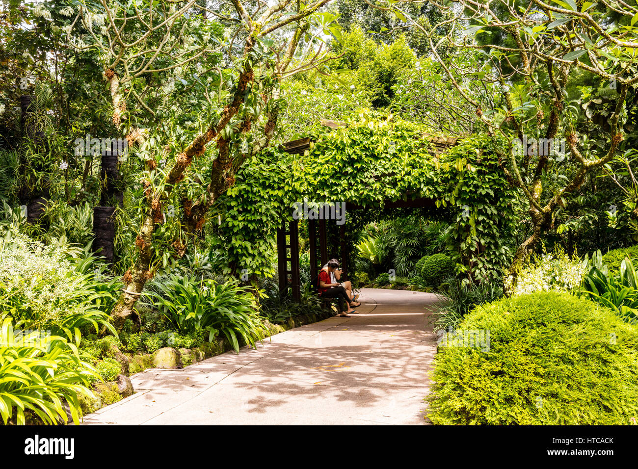 Botanische Gärten, Singapur, Asien Stockfoto