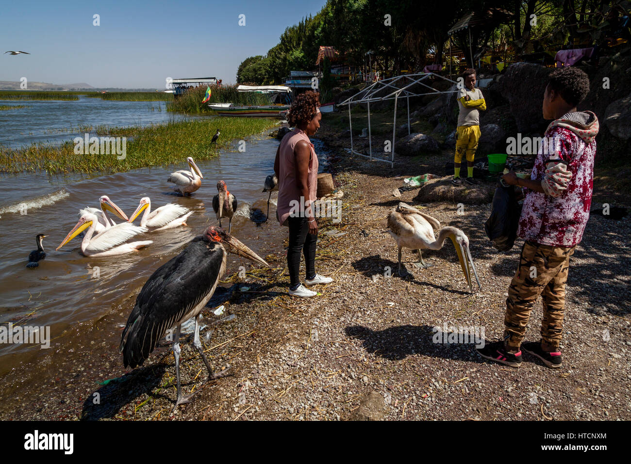 Äthiopische Touristen und verschiedene große Vögel am Ufer des Sees Hawassa, Äthiopien Stockfoto