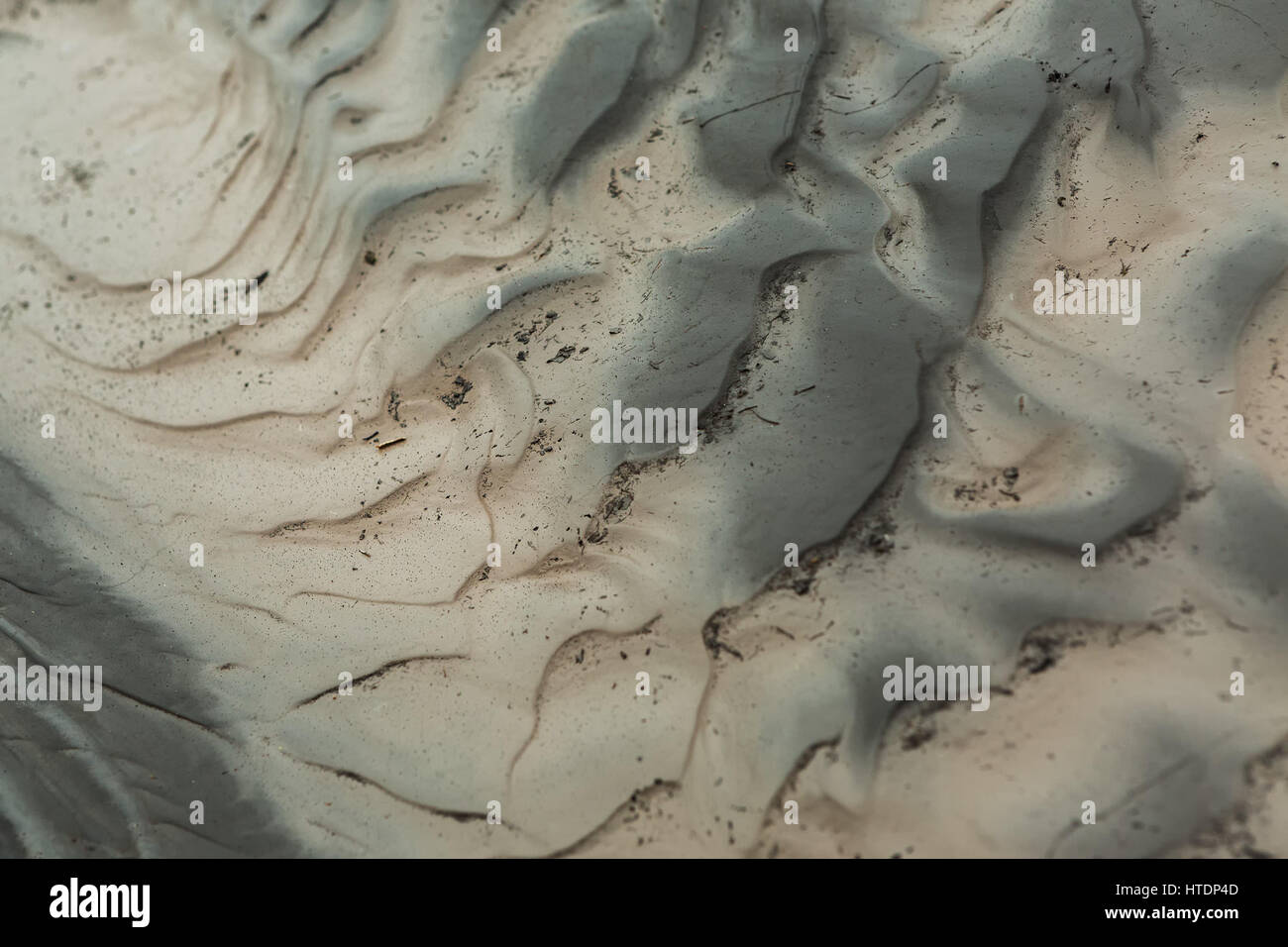 IL auf der Unterseite des Flusses Studenaya. Kamtschatka-Halbinsel. Stockfoto