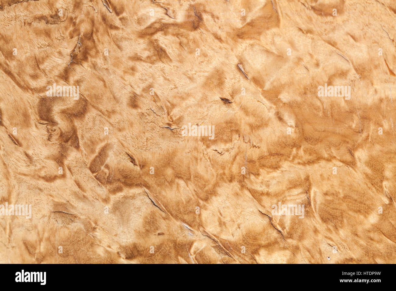 Holzmuster der karelischen Birke, close-up Hintergrundtextur Stockfoto