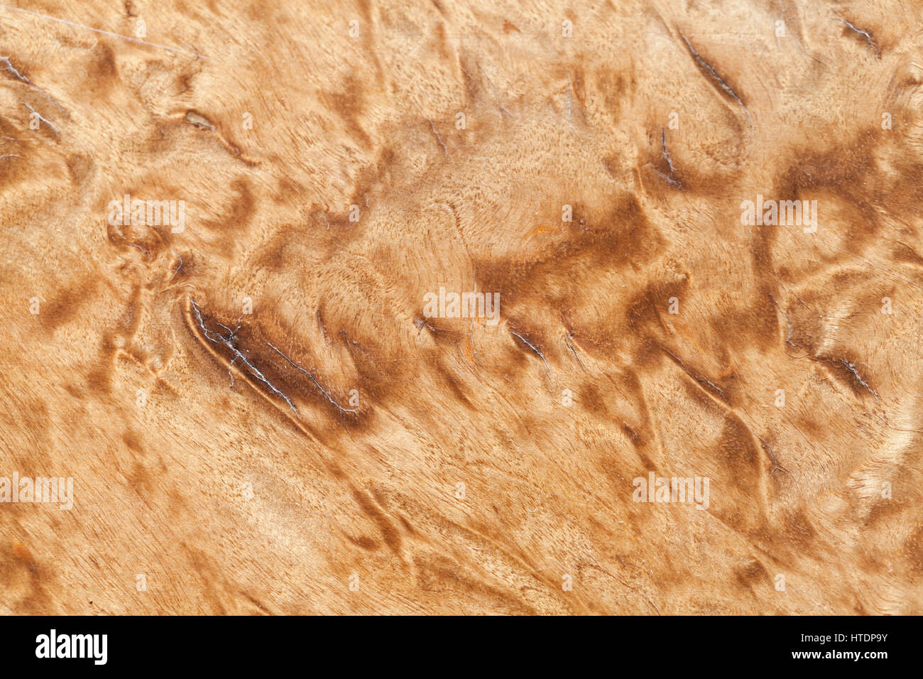 Holzmuster der karelischen Birke Nahaufnahme Foto Hintergrundtextur Stockfoto