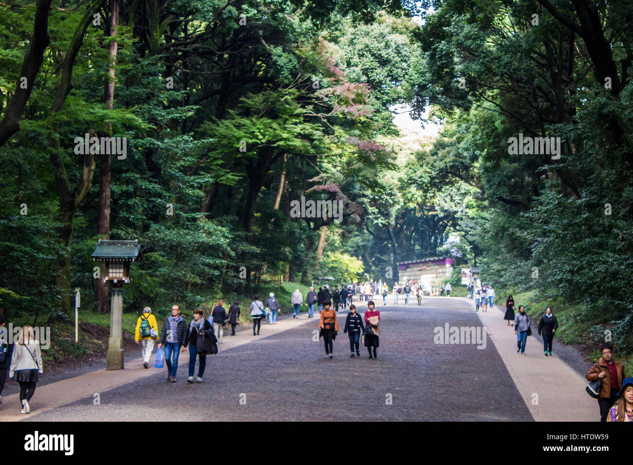 Meiji-Jingu, einer der bekanntesten und bedeutendsten Heiligtümer in Tokio, Japan. Stockfoto