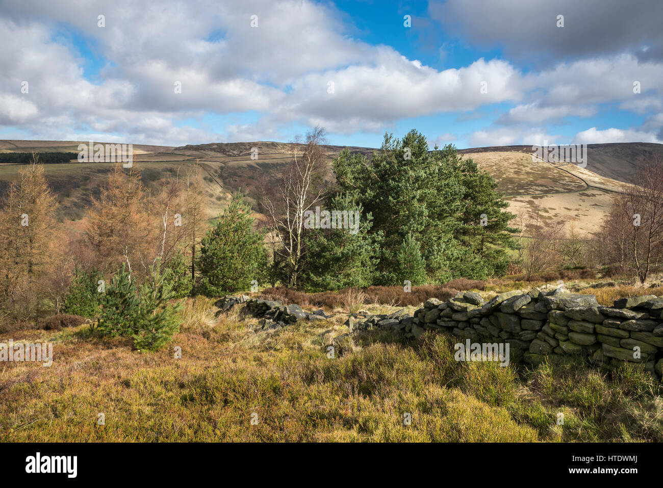 Schöne Aussicht vom Shire Hill in der Nähe von Glossop. Zeitigen Frühjahr Landschaft am Rande der Pennines im Norden Englands. Stockfoto