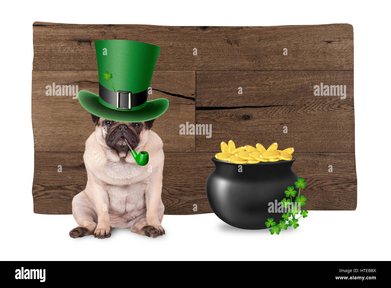 süße Mops Welpen Hund mit St. Patricks Day Hut und Pfeife sitzt neben Topf mit Gold und Shamrock auf hölzernen Hintergrund Stockfoto