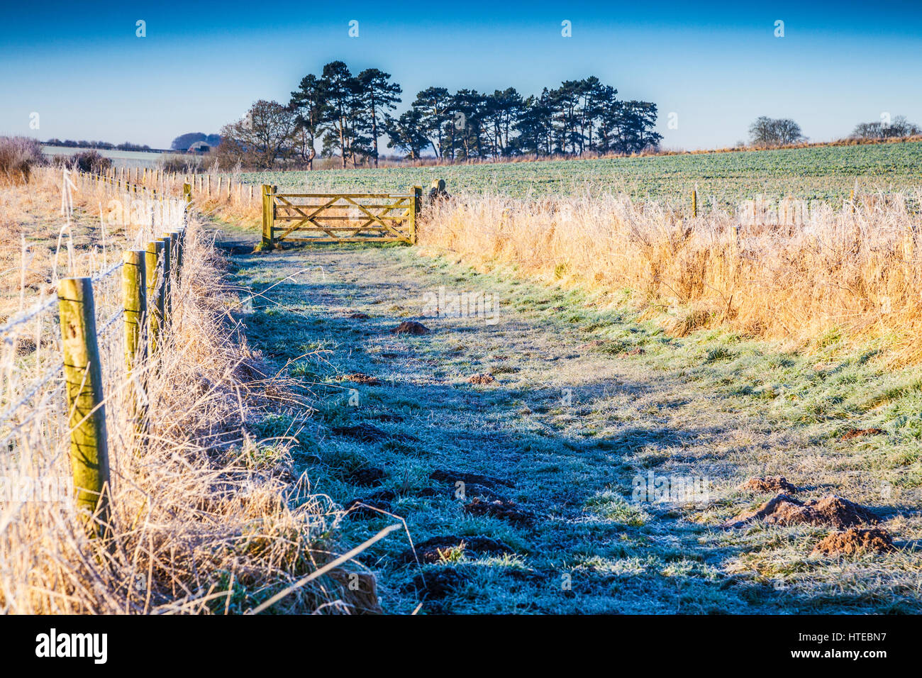 Ein Frostiger Morgen in Wiltshire Landschaft. Stockfoto
