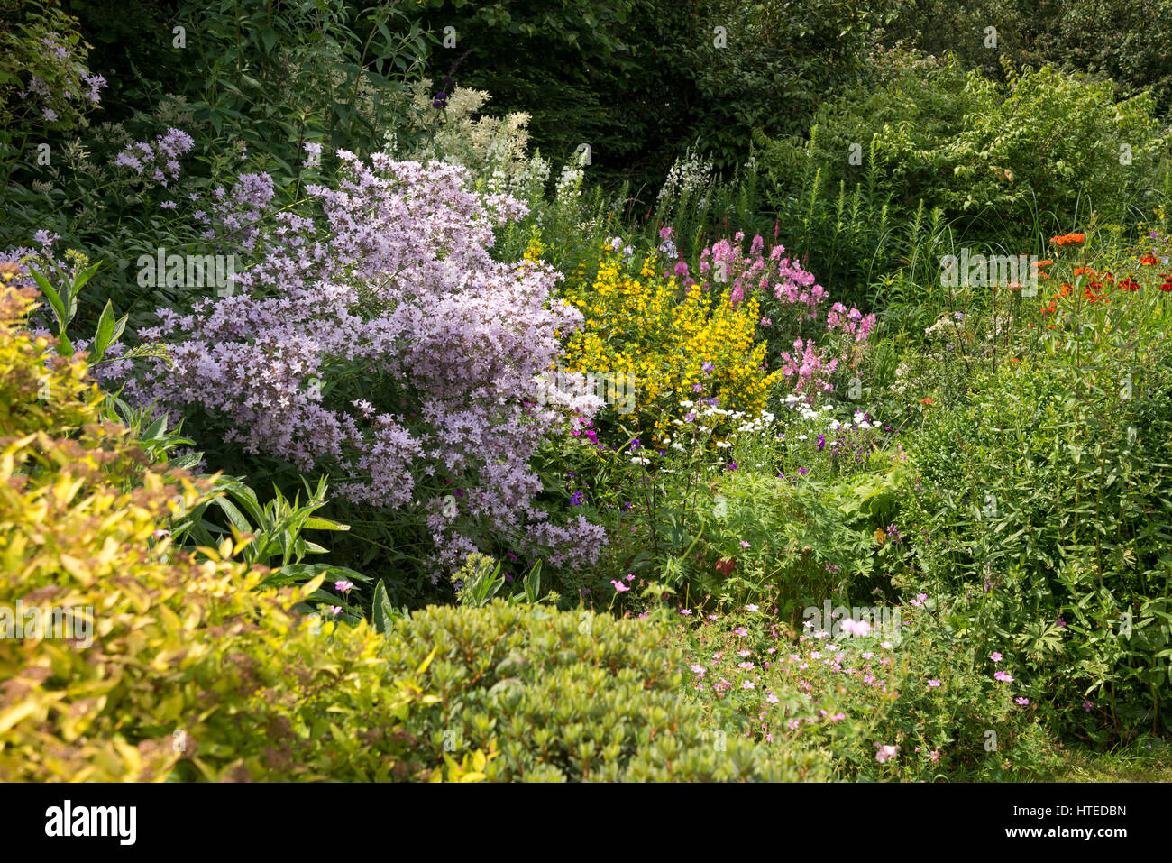 Bunte Blumenbeete im Garten Landhausstil. Gemischte Pflanzung von Sträuchern und Stauden in vollem Wachstum, Mitte Juli. Stockfoto
