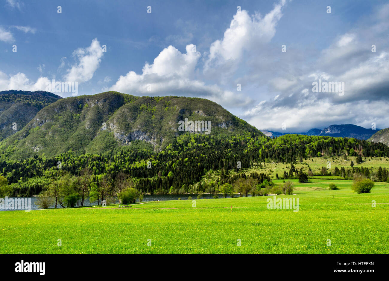 Bohinj See der Triglav National Park, Slowenien. Der Triglav National Park (TNP) ist der einzige Nationalpark in Slowenien. Stockfoto