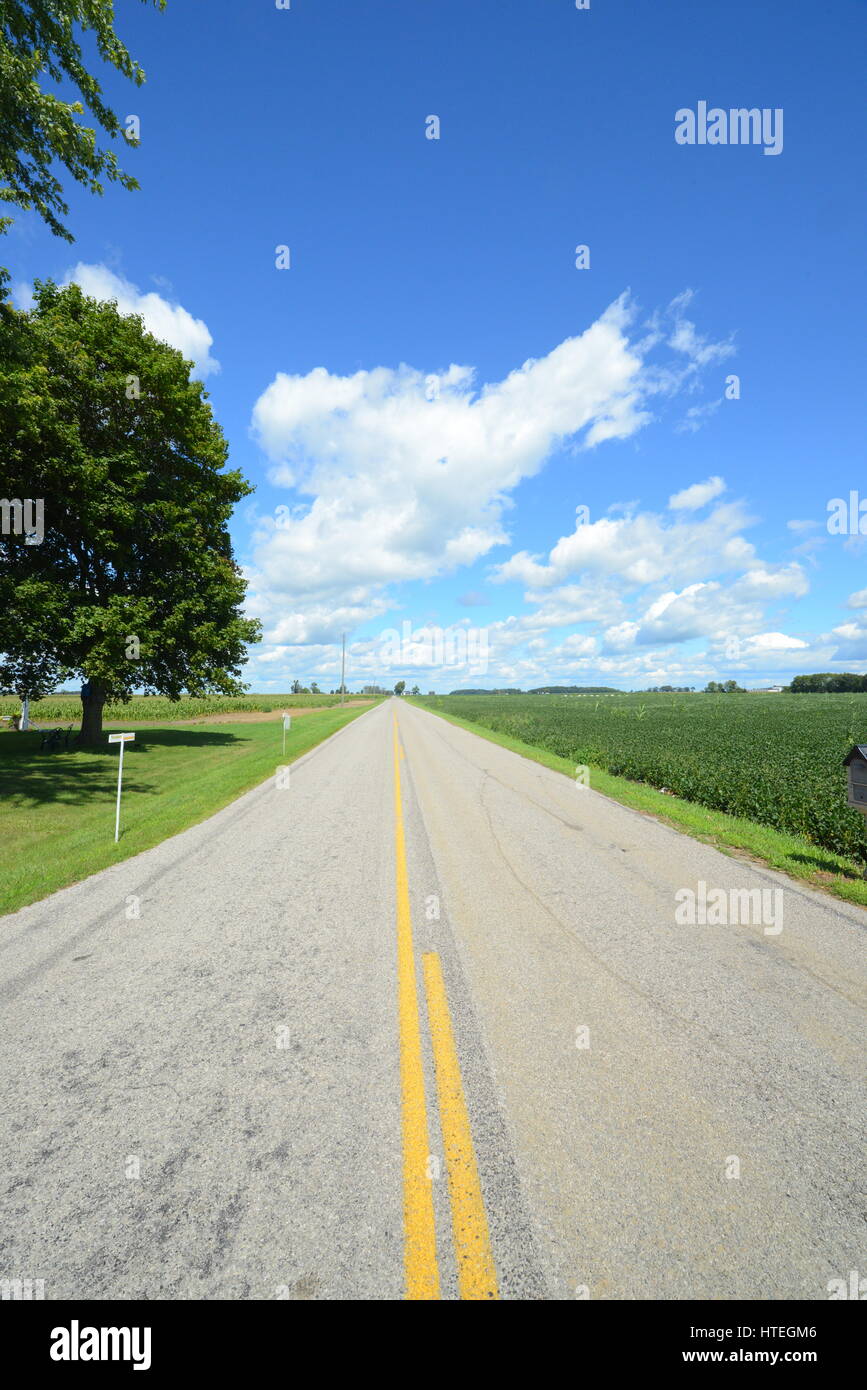 country road with fields and blue skies Stockfoto