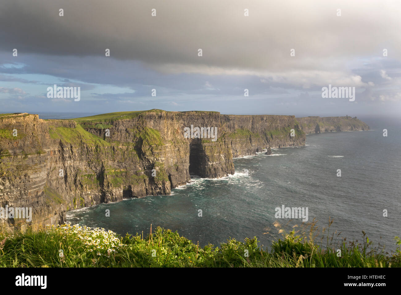 Cliff, Cliffs of Moher, County Clare, Irland Stockfoto