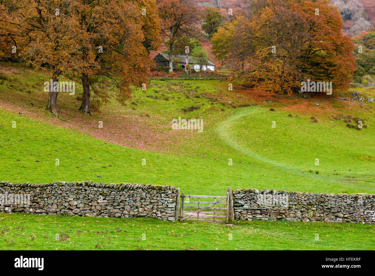 Haus und Feld am Fuße des Loughrigg fiel im Lake District National Park, Cumbria, England. Stockfoto