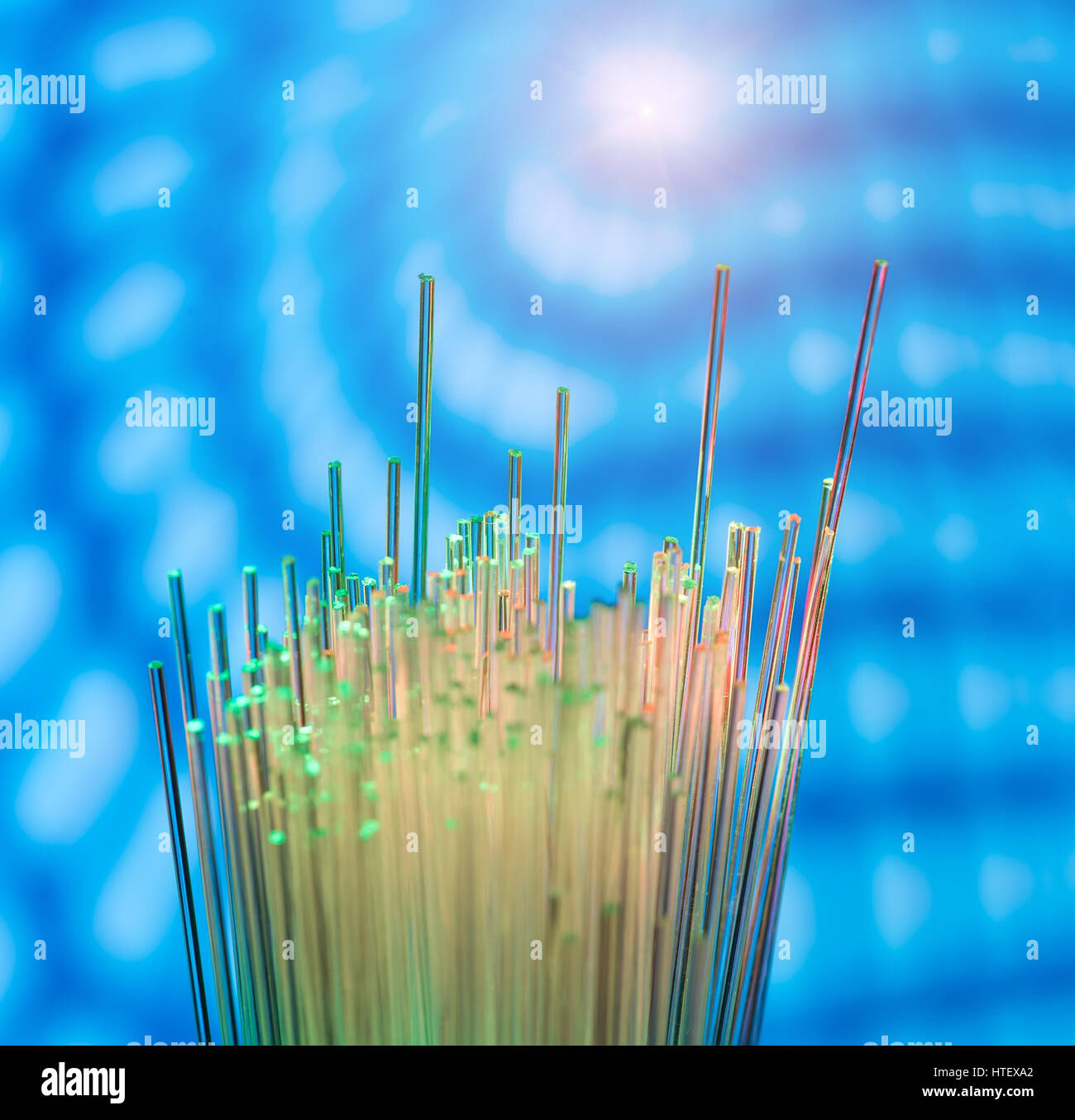 optisches Netzwerk Glasfaserkabel Stockfoto