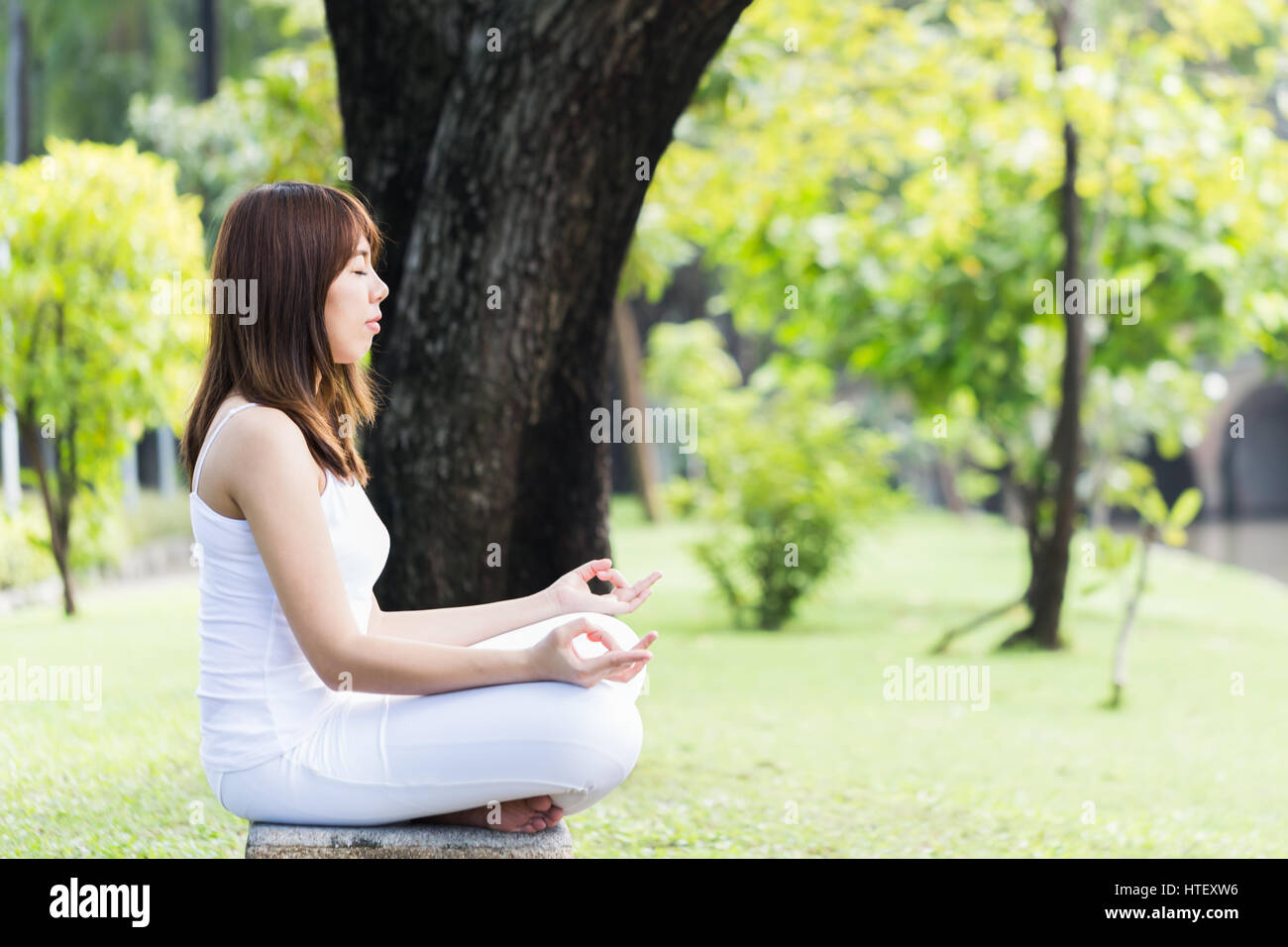Asiatische Frau praktizieren Yoga im Park, psychisch und geistig gesund, weiche Sonnenlicht. Stockfoto