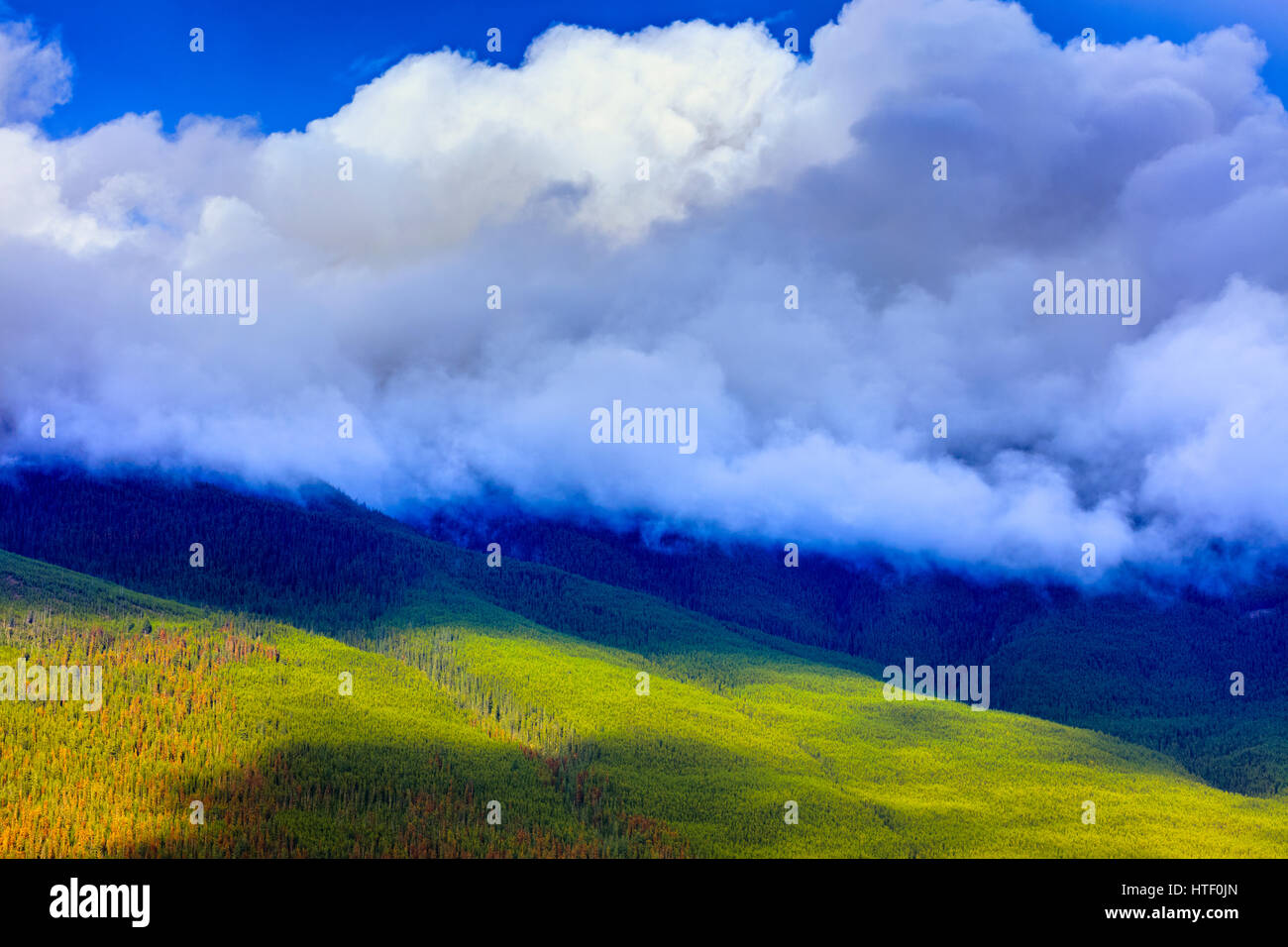 Jasper-Nationalpark in Alberta, Kanada Stockfoto