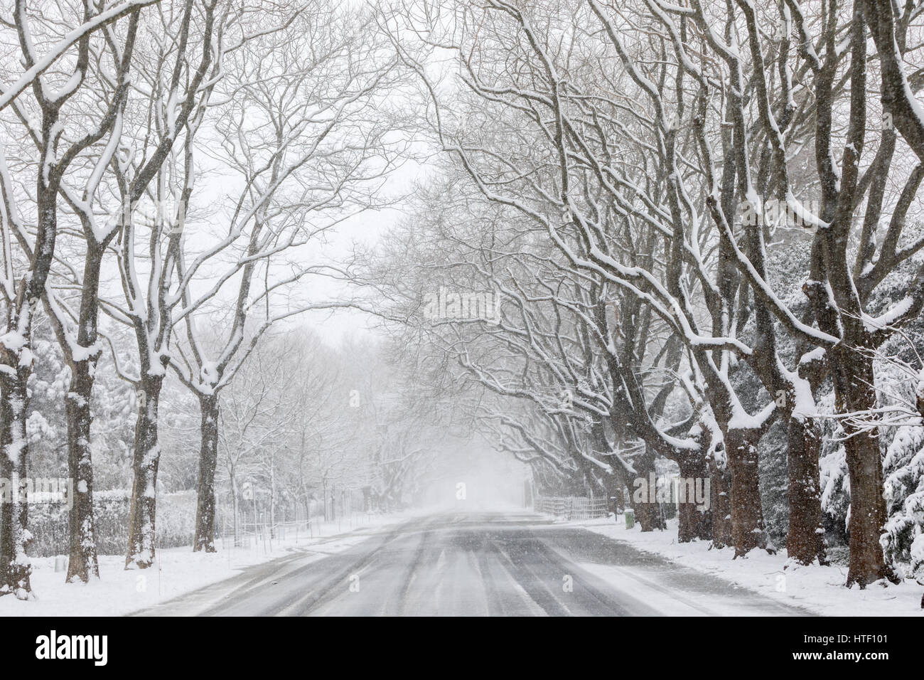 Verschneite Landschaft im Osten von Long Island, New York, USA Stockfoto
