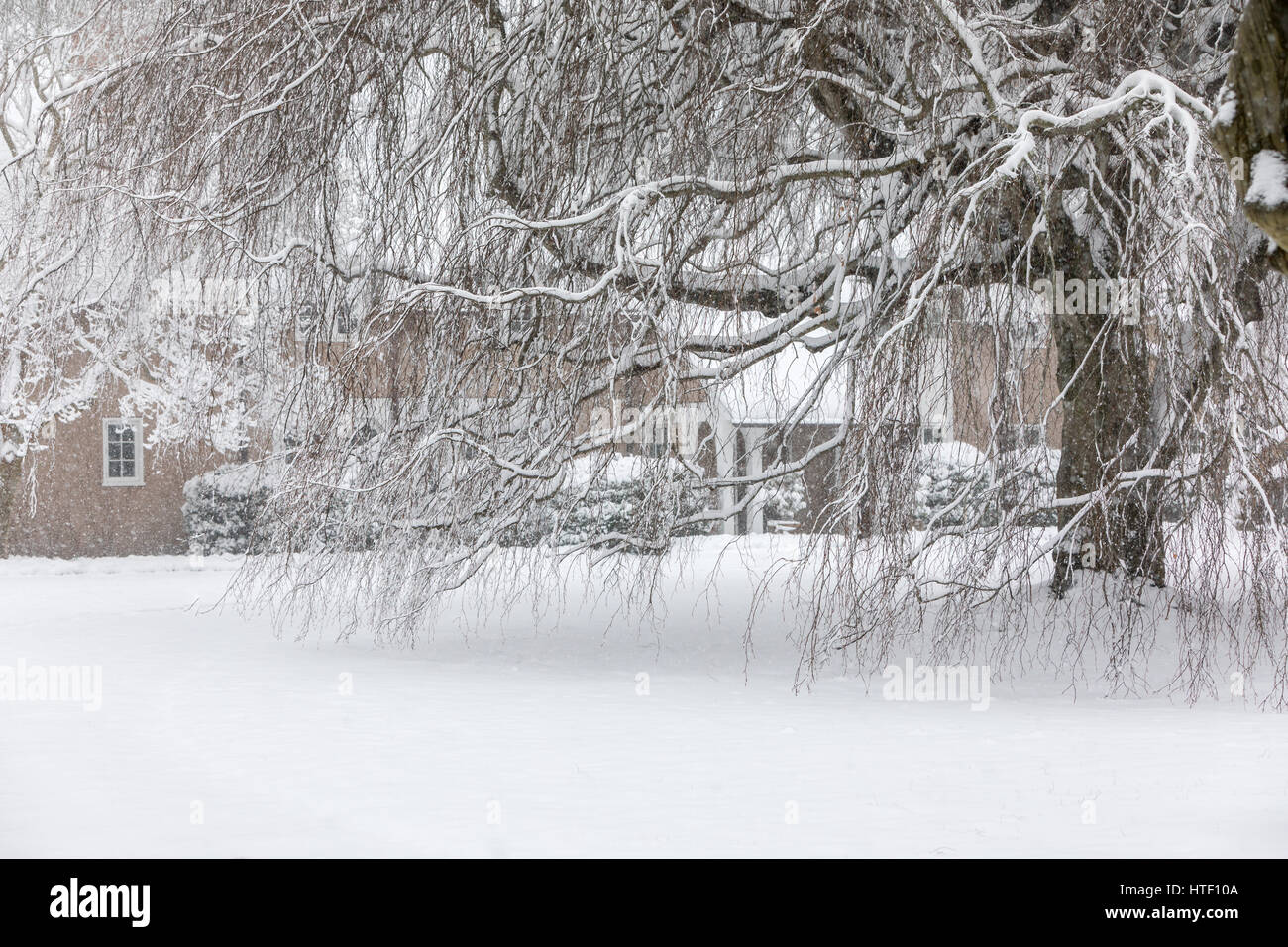 Detailaufnahme eines großen Landgutes hinter dem Schnee bedeckt Baum Stockfoto