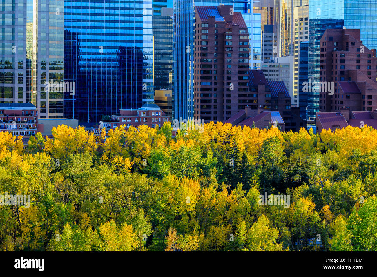 Skyline von Downtown Calgary, Alberta Stockfoto
