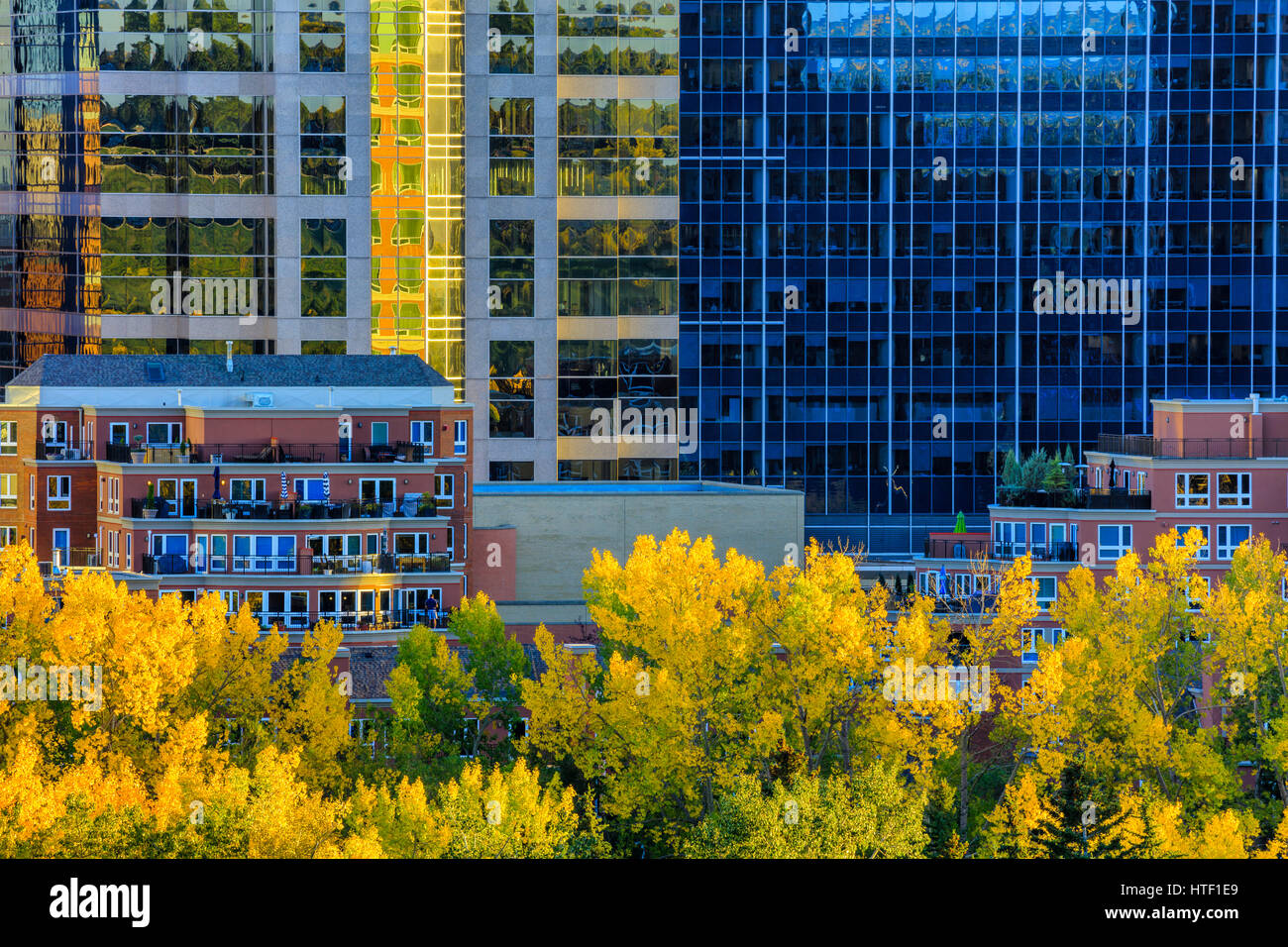 Skyline von Downtown Calgary, Alberta Stockfoto
