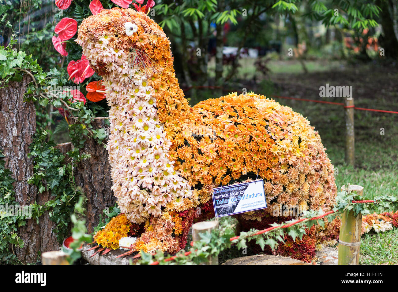 Parada de Las Flores Stockfoto