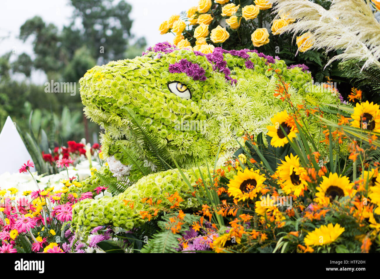 Parada de Las Flores Stockfoto