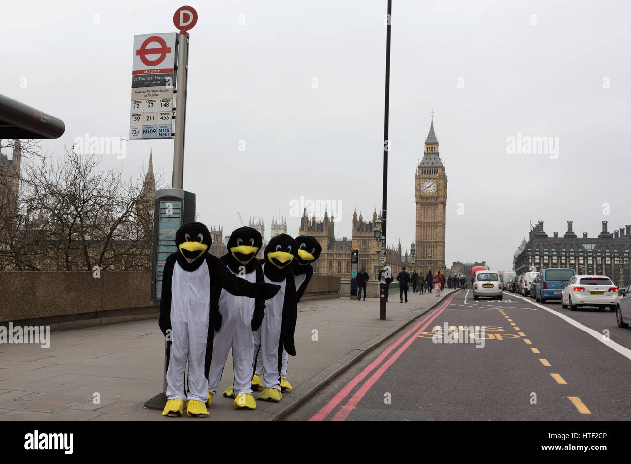 London, UK. 10. März 2017. Als Teil der British Science Association (BSA) Wissenschaftswoche vom 10. bis 19. März 2017, eine Vielzahl von Pinguin Pals erscheint in London. Die BSA wollen, um ein Viertel von 1 Million Pinguinen entdeckt während der Woche, im Grunde Kennzeichnung Pinguine in einer Reihe von Aufnahmen auf dem Boden in der Antarktis. Pinguin-Watch ist ein Beispiel für Citizen Science Projekt, ein wachsender Trend für Leute außerhalb der naturwissenschaftlichen Beruf dazu Experimente aus Natur und Tierwelt zu Astronomie teilnehmen. Stockfoto