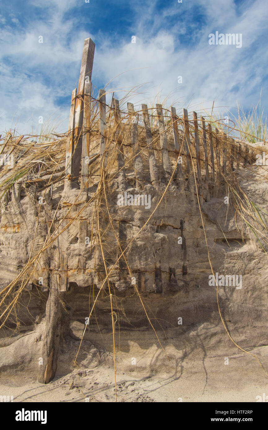 Strand, Dünen, Wiesen und Zaun zeigt Erosionsschäden nach einem Sturm Stockfoto