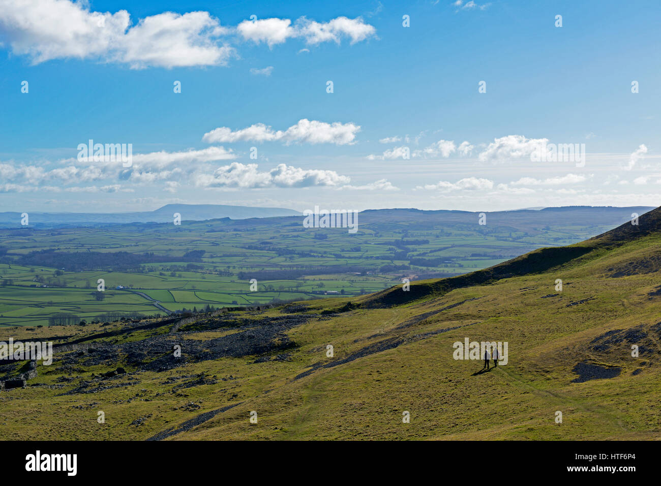 Norber Findlinge, einer felsigen Landschaft in Bösingen, Yorkshire Dales National Park, North Yorkshire, England, Großbritannien Stockfoto