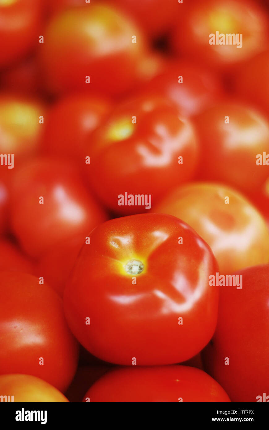 Rote, reife Tomaten im Supermarkt-Regal Stockfoto