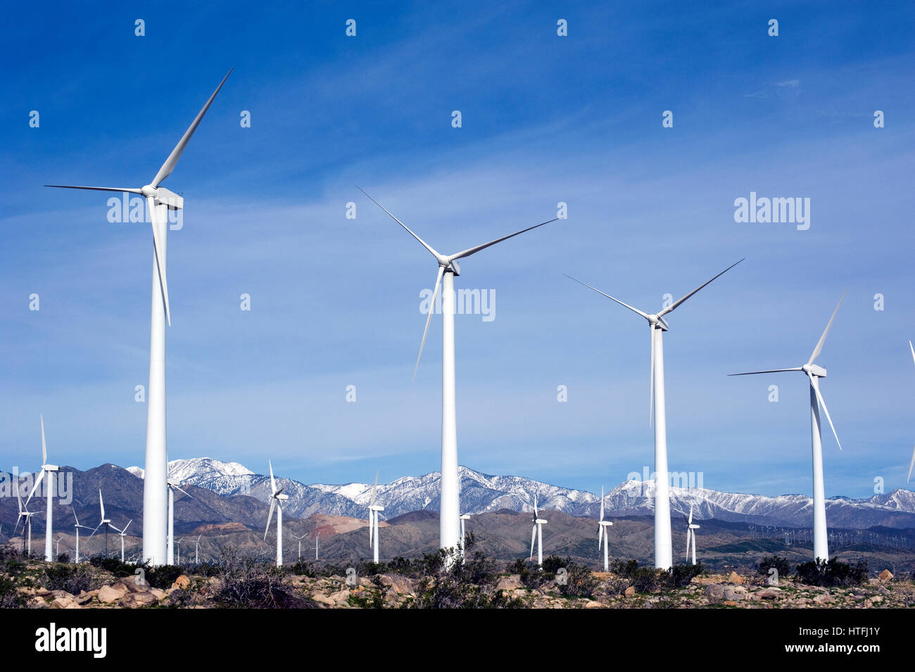 Windmühle Bauernhof in Palm Desert in der Nähe von Palm Springs, Kalifornien Stockfoto